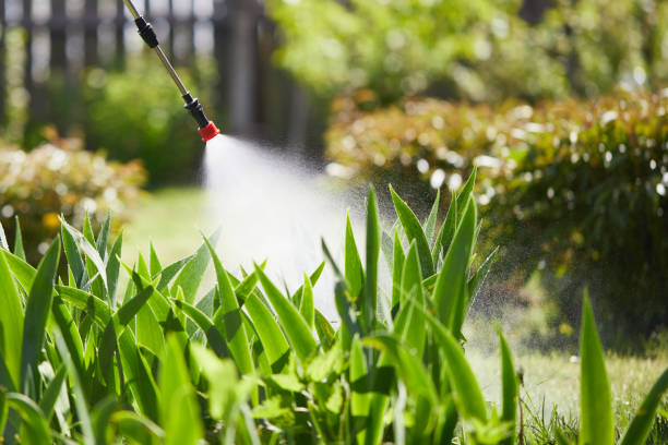 24/7 Emergency Mosquito Control experts in Wailua Homesteads, HI
