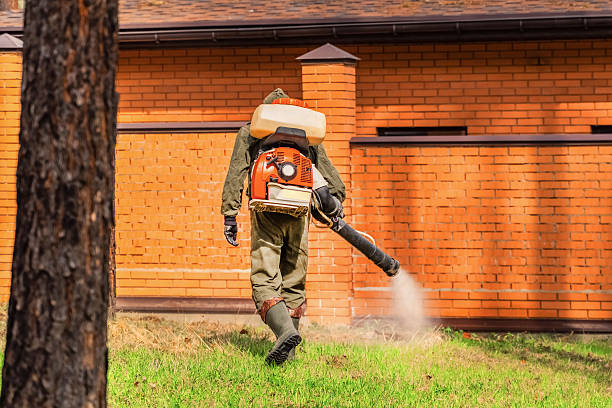 Trusted Emergency Pest Control service in Wailua Homesteads, HI - Nex Pest Control